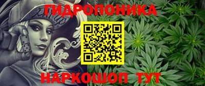соль ск Будённовск