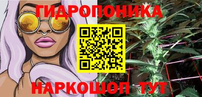 соль ск Будённовск