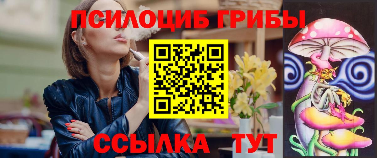 Щёлково  Псилоцибиновые грибы Magic Shrooms  как найти наркотики  Вход с VPN 
