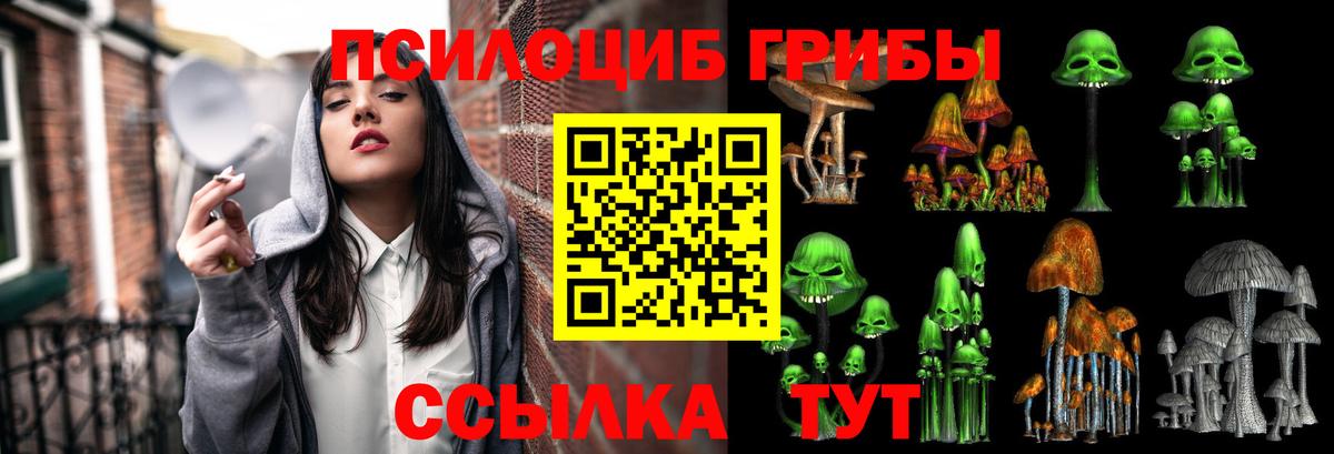 Галлюциногенные грибы Magic Shrooms Щёлково